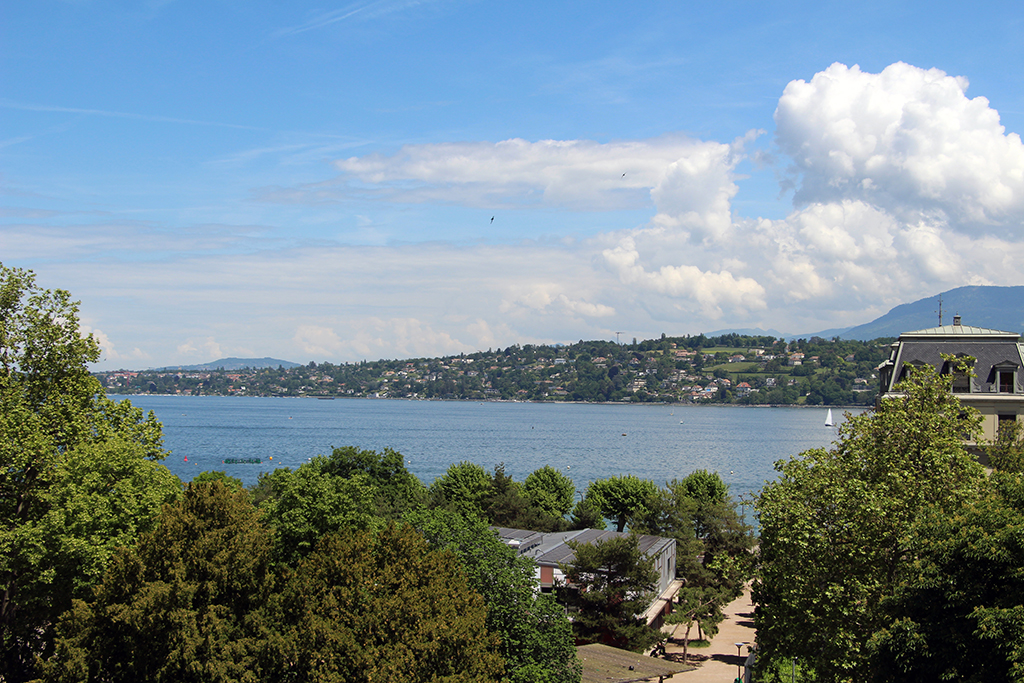 Vue Panoramique